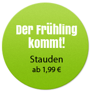 Der Frühling kommt! - Stauden ab 1,99€