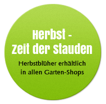 Herbstzeit der Stauden - Herbstblüher erhältlich in allen Garten-Shops