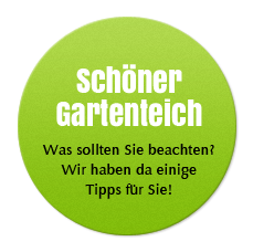 Schöner Gartenteich - Was sollten Sie beachten? Wir haben da einige Tipps für Sie!